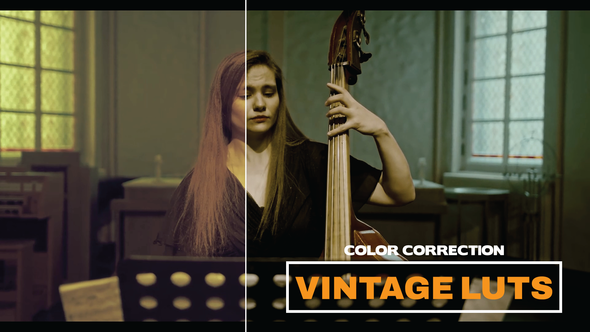 VideoHive LUTs Vintage