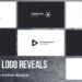 VideoHive Minimal Logo Reveals | DaVinci Resolve 53454943