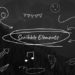 VideoHive Scribble Elements 54167054