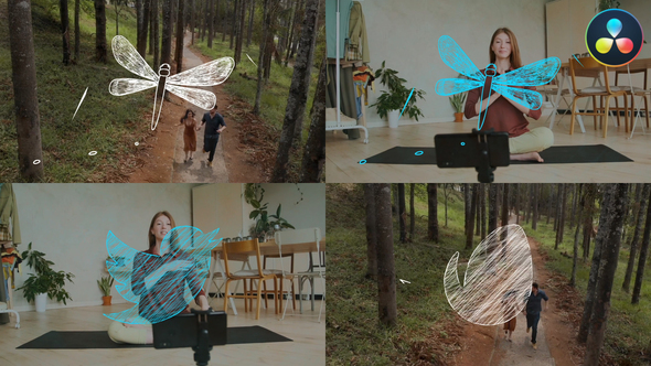 VideoHive Sketch Dragonfly Logo for DaVinci Resolve