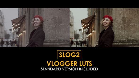 VideoHive Slog2 Vlogger and Standard LUTs