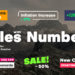 VideoHive Titles with Numbers | DaVinci Resolve 54286333