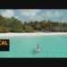VideoHive Tropical Color LUTs 50040557