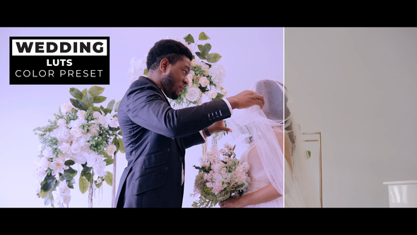 VideoHive Wedding LUTs
