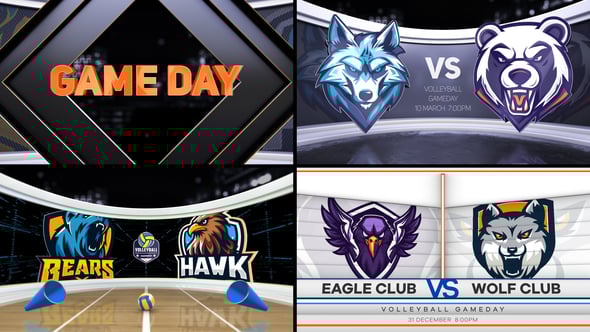 Videohive Volleyball VS