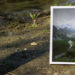 Videohive Summer Day at the River Slideshow