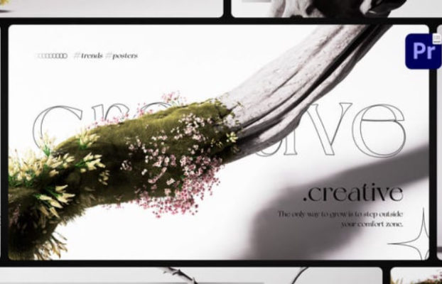 Videohive Organic Growth Posters