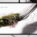 Videohive Organic Growth Posters