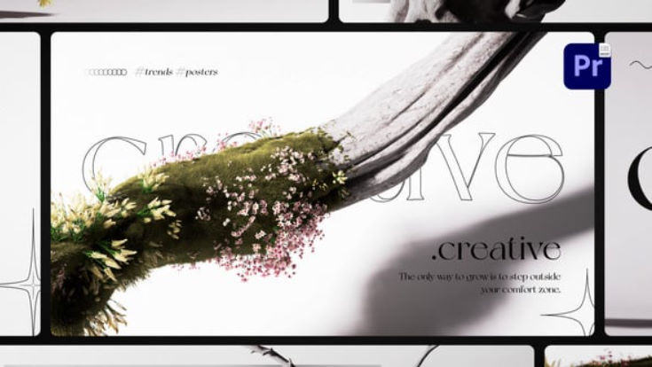 Videohive Organic Growth Posters
