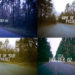 Videohive Road Forest Motion Title