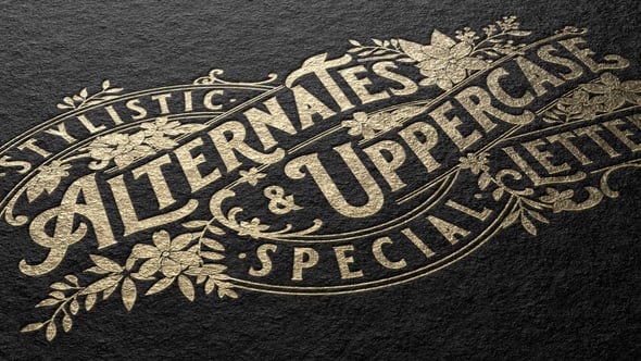 Videohive LOGO MOCKUP 53419232