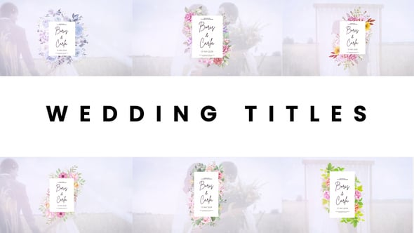 Videohive Wedding titles 59106428