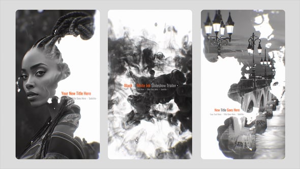 Videohive Black and White Vertical Ink Slideshow