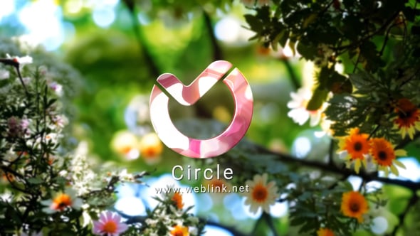 Videohive Summer Tries Logo 3