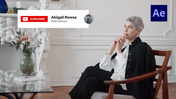 Videohive Social Media Elements Titles /Ae