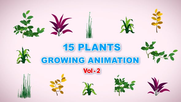 Videohive 15 Growing Plants Animation Pack Vol 2