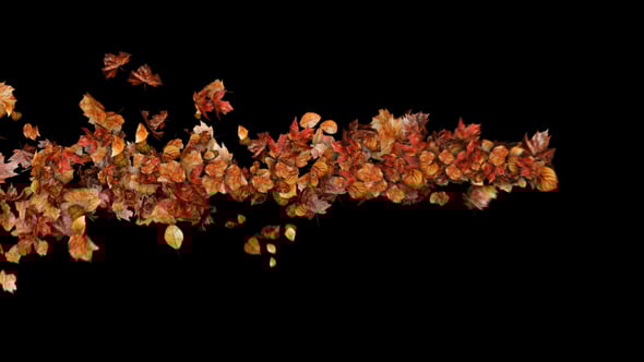 Videohive Autumn Leaves Particles Motion Path no Plugins