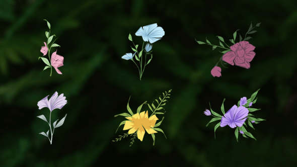 Videohive Flower Romantic Animation Elements