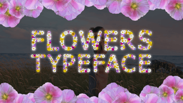 Videohive Field Flowers Typeface and Transition