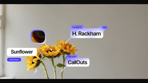 Videohive CallOuts 59651754
