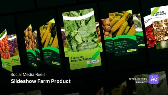 Videohive Reels – Slideshow Farm Product After Project Files