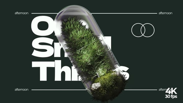 Videohive Capsule Nature Title