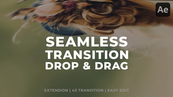 Videohive Seamless Transition