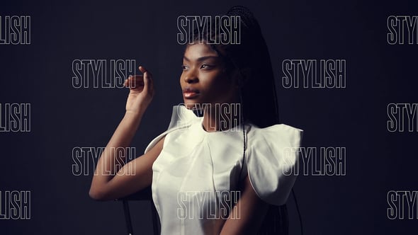 Videohive Slideshow Stylish Intro