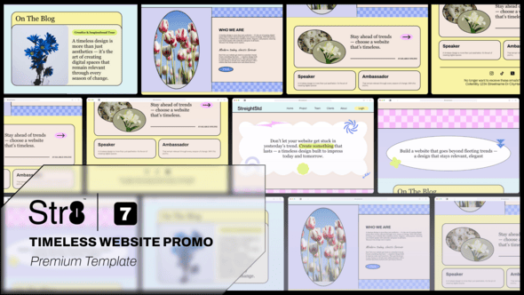 Videohive Timeless Website Promo