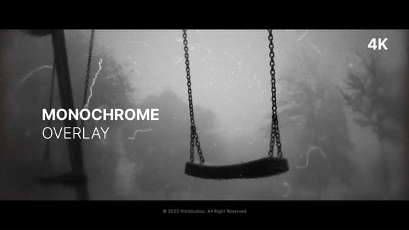 Videohive Monochrome Overlay