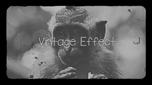 Videohive Vintage Effect