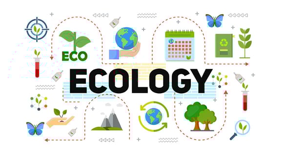 Videohive Ecology and Energy Typography Scenes