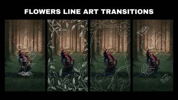 Videohive Flowers Line Art Transition for After Effects