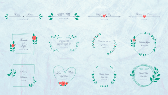 Videohive Wedding And Holidays Animations for After Effects
