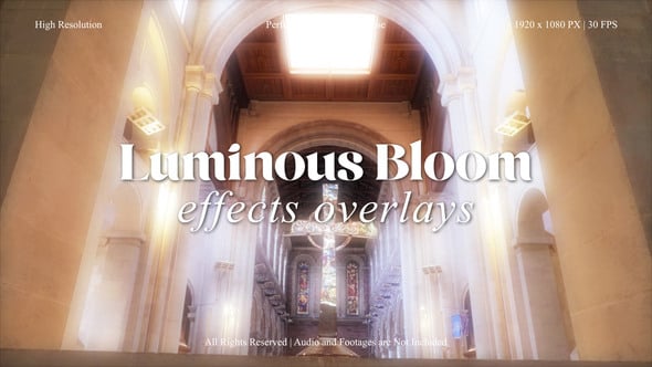 Videohive Luminous Bloom FX Overlays Pack for After Effects
