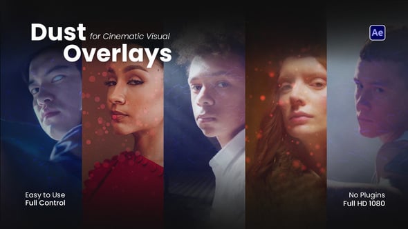Videohive Dust Overlays