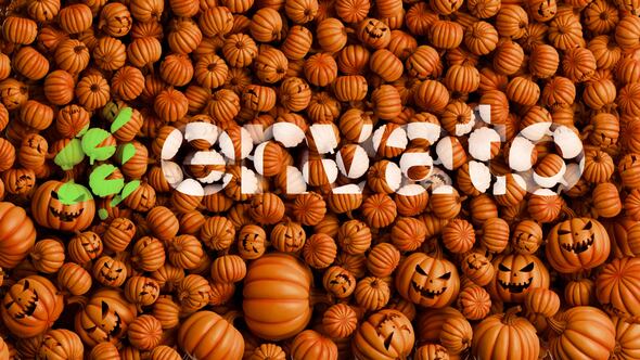 Videohive Halloween Pumpkins Logo Reveal