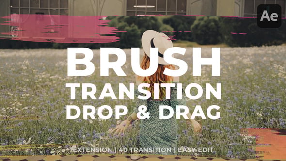 Videohive Brush Transition 61365687