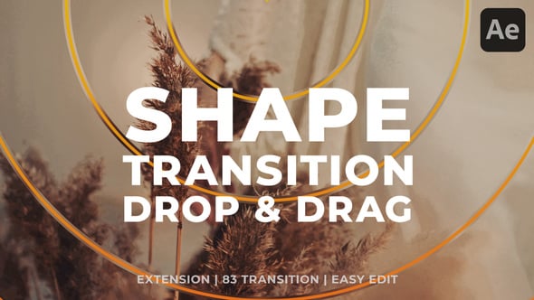 Videohive Shape Circle Transition