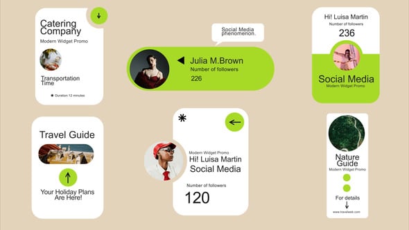 Videohive Widgets 61382503