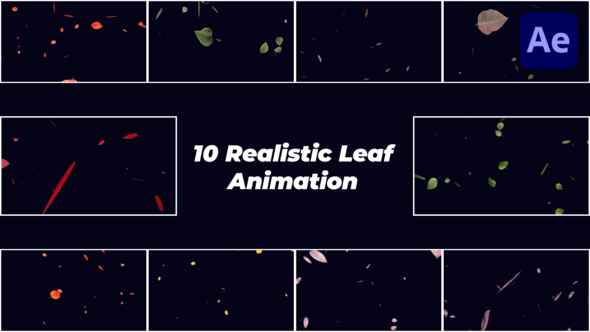 Videohive Realistic Falling Leaves