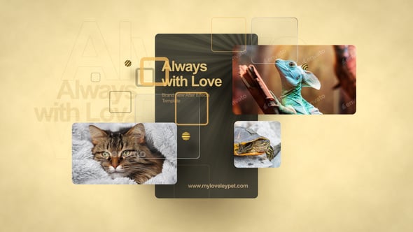 Videohive Beloved Pets