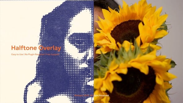 Videohive Halftone Grunge Overlay