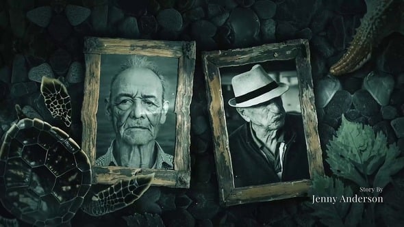 Videohive Lost Memory