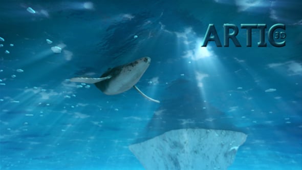 Videohive Artic 3D Assets