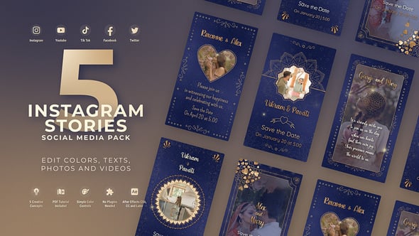 Videohive Luxury Indian Wedding