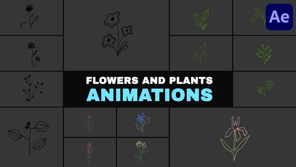 Videohive Flowers and Plants Animations | After Effects
