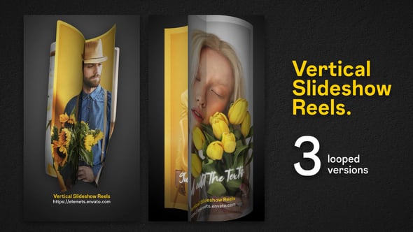 Videohive Vertical Slideshow Reels