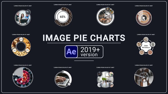 Videohive Image Pie Charts