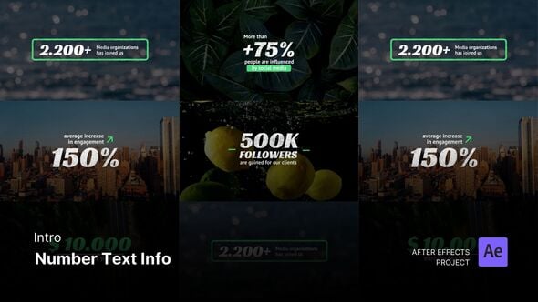 Videohive Social Media Reels – Number Text Info After Effects Project Files